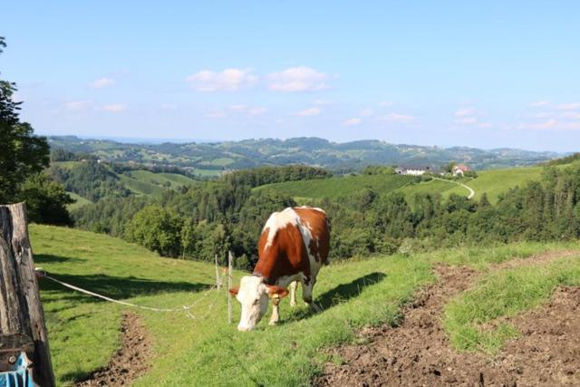 Serschenhof- Auszeit Ueber Dem Stall Leutschach Exteriér fotografie