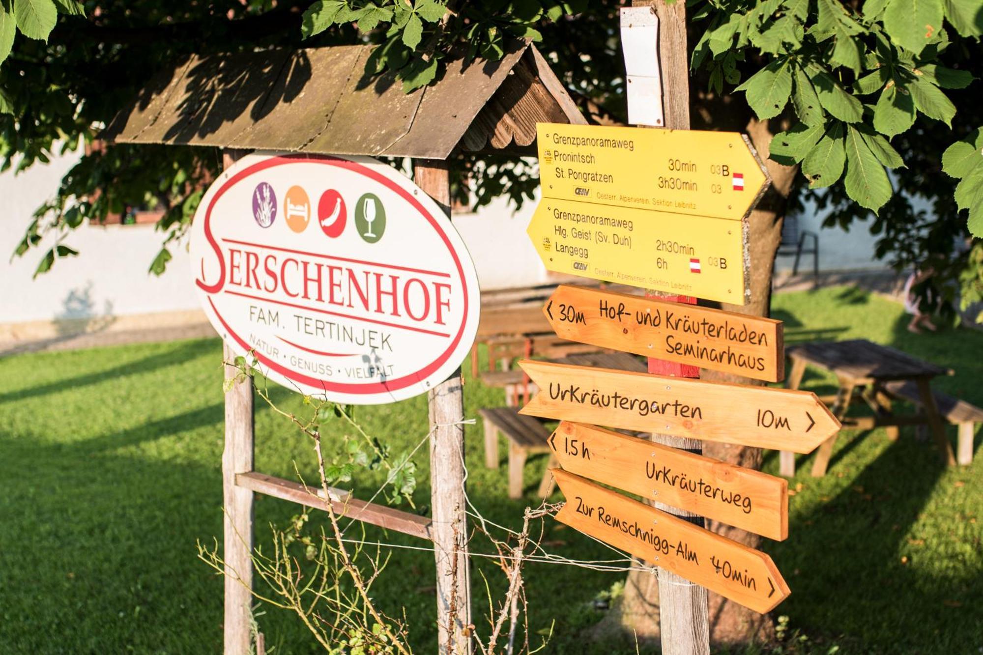 Serschenhof- Auszeit Ueber Dem Stall Leutschach Exteriér fotografie